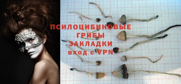 скорость Корсаков